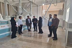 بازدید مشترک مدیران و کارشناسان اداره جهاد کشاورزی و شبکه بهداشت و درمان شهرستان رستم از کارخانه ی آردخوشه طلا 