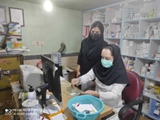 نظارت بر اجرای طرح دارویار در داروخانه های شهرستان رستم